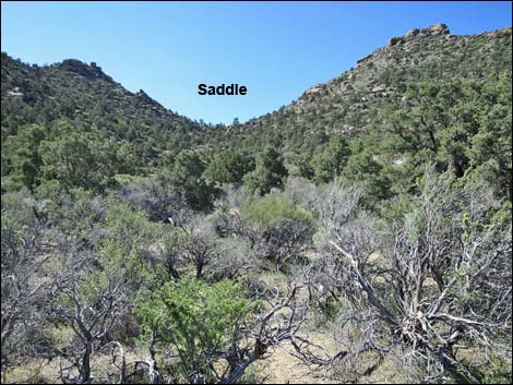 Jumbo Springs Wilderness Area