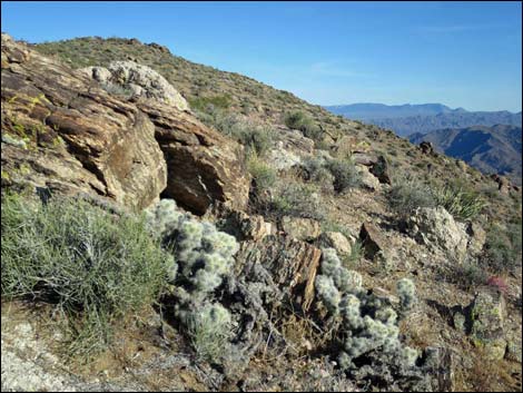 Jumbo Springs Wilderness