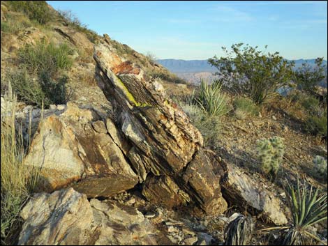 Jumbo Springs Wilderness