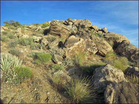 Jumbo Springs Wilderness