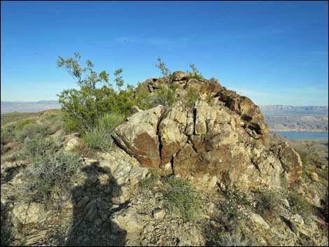 Jumbo Springs Wilderness