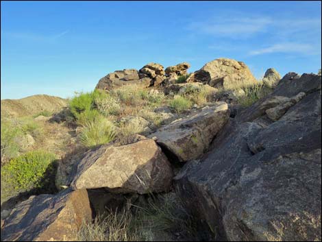 Jumbo Springs Wilderness