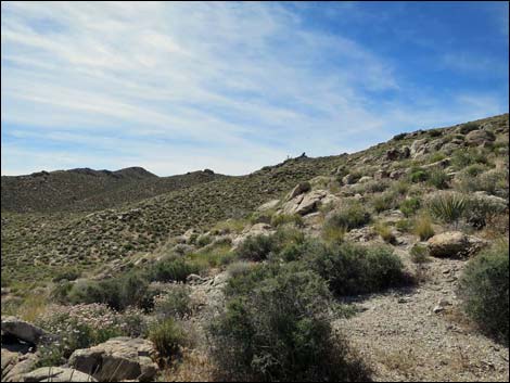 Jumbo Springs Wilderness Area