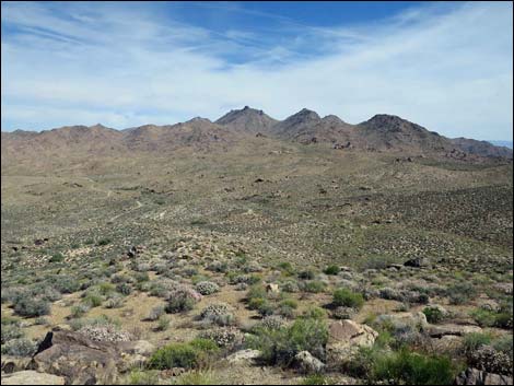 Jumbo Springs Wilderness Area