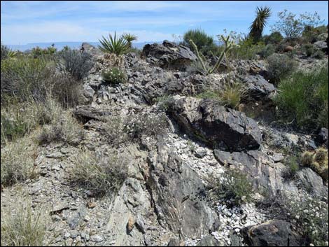 Jumbo Springs Wilderness