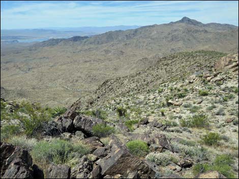 Jumbo Springs Wilderness