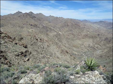 Jumbo Springs Wilderness