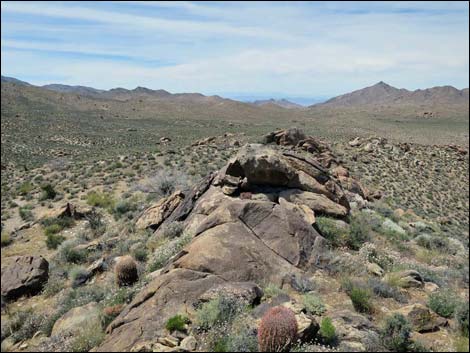 Jumbo Springs Wilderness