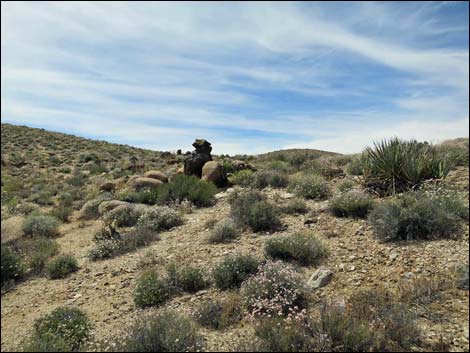 Jumbo Springs Wilderness