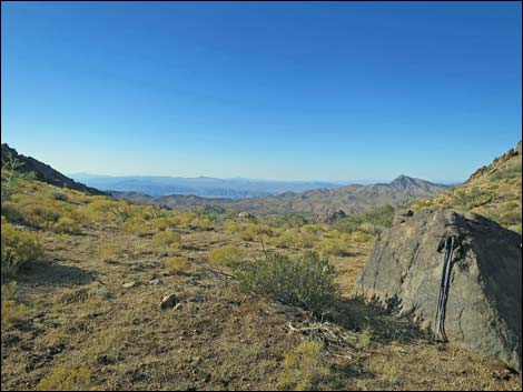 Jumbo Ridge Loop