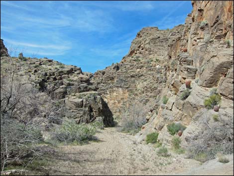 Lime Canyon