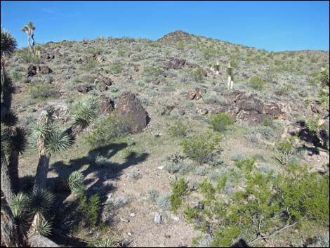 Little Virgin Peak