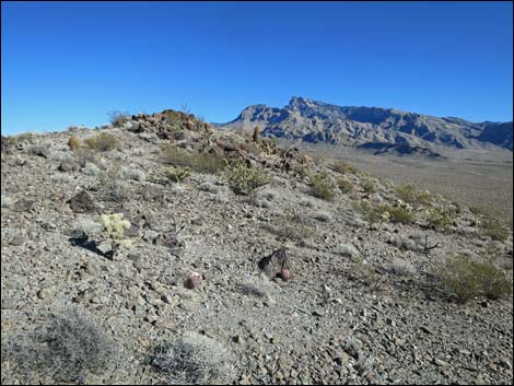 Little Virgin Peak