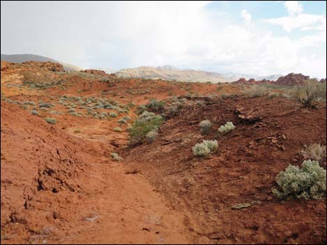 Mud Wash Corral to Little Finland