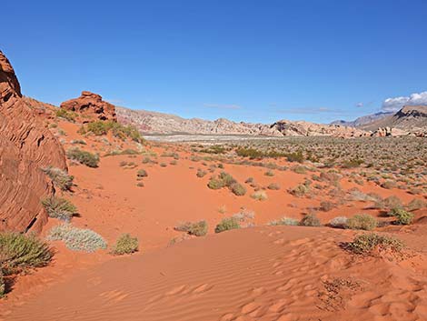 Mud Wash Dunes