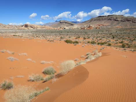 Mud Wash Dunes