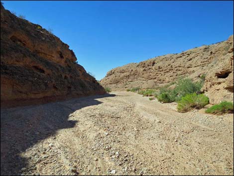 Mud Wash Narrows