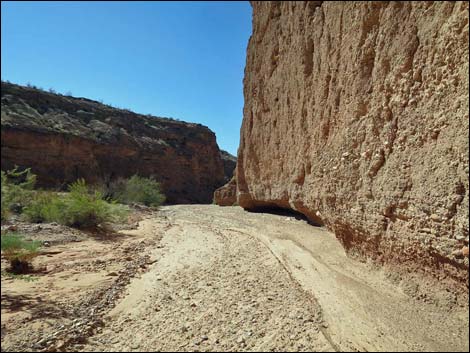 Mud Wash Narrows