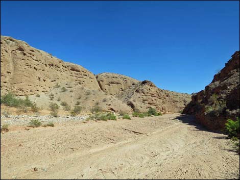 Mud Wash Narrows