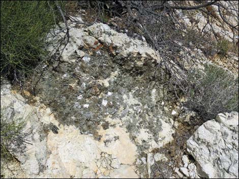 Nevada Mica Mine