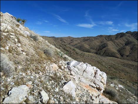 Nevada Mica Mine