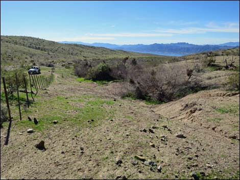 Agua Chiquita Spring