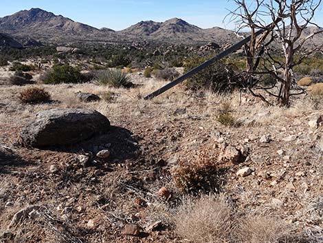 Radio Crystal Mine