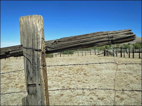 Cedar Basin Corral