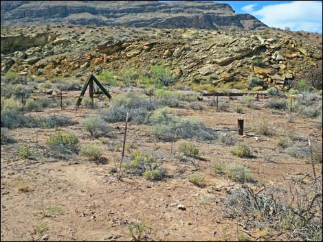 Gold Butte Wash Well