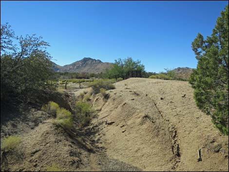 Grapevine Spring Corral