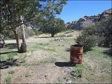 Grapevine Spring Corral