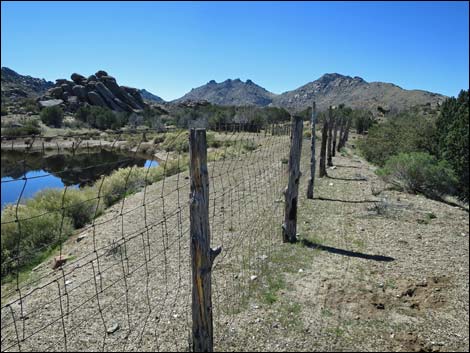 Grapevine Spring Corral