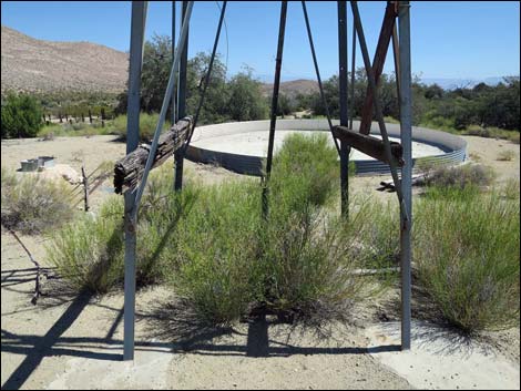 Garden Spring Corral