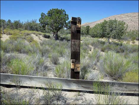 Garden Spring Corral