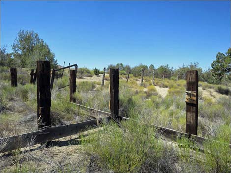 Garden Spring Corral