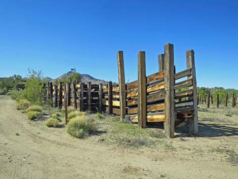 Garden Spring Corral