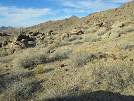 Garnet Mine Camp