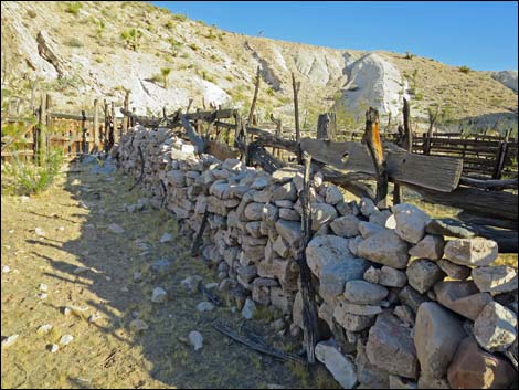 Garden Spring Corral