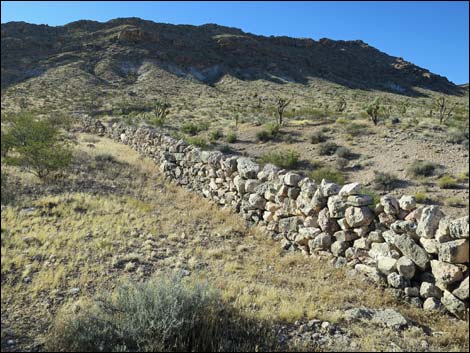 Garden Spring Corral