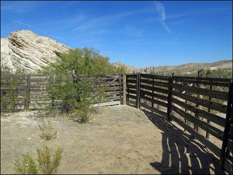 Horse Spring Corral