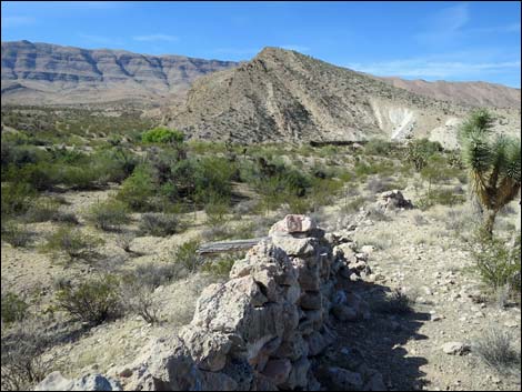 Horse Spring Corral