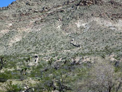 Horse Spring Corral