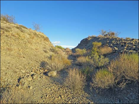 Lakeshore Mine