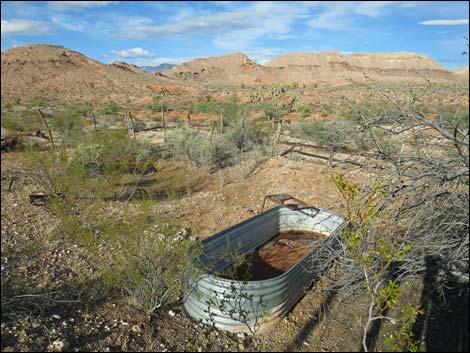 Mud Hills Corral