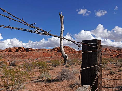 Mud Wash Corral