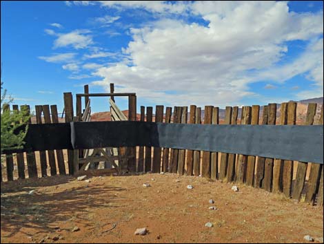 Mud Wash Corral