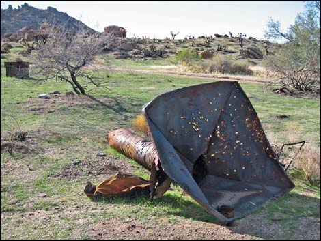 Gold Butte Townsite