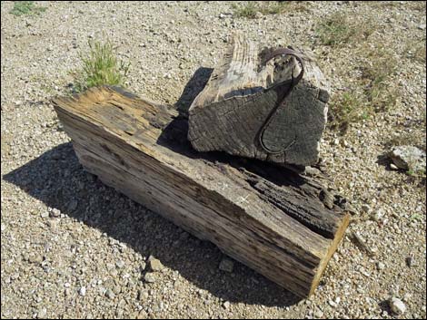 Gold Butte Townsite