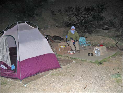 Gold Butte Townsite