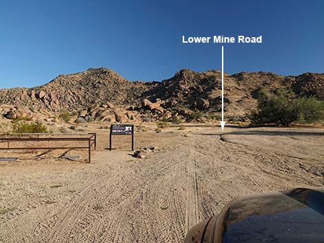 Gold Butte Townsite